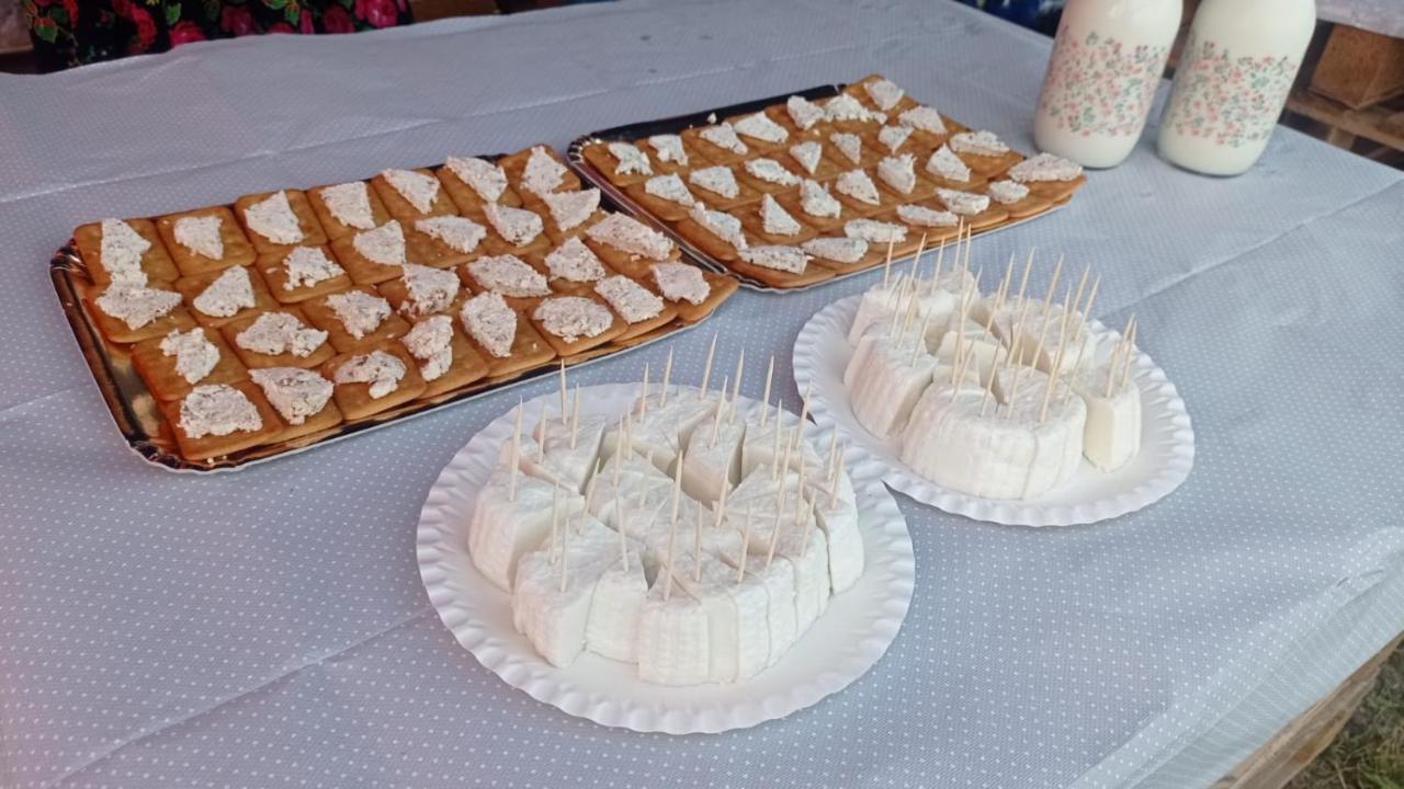 Radziechowy Dom Pod Matyska 빌라 외부 사진